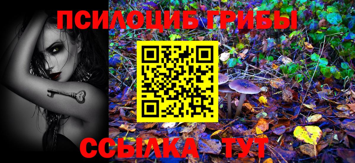 Псилоцибиновые грибы Magic Shrooms  Вход с VPN  Гай  Галлюциногенные грибы ЛСД 